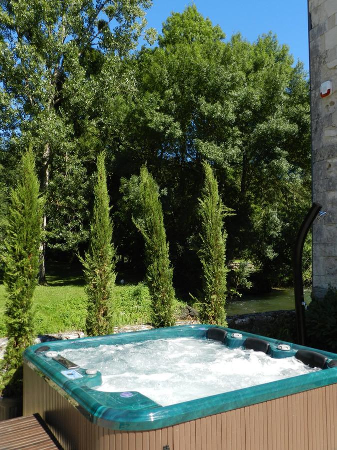 Bed and Breakfast Moulin De La Chevriere Saché Exterior foto