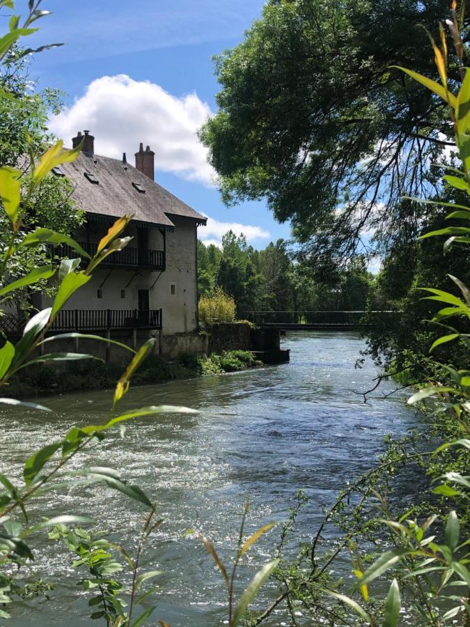 Bed and Breakfast Moulin De La Chevriere Saché Exterior foto